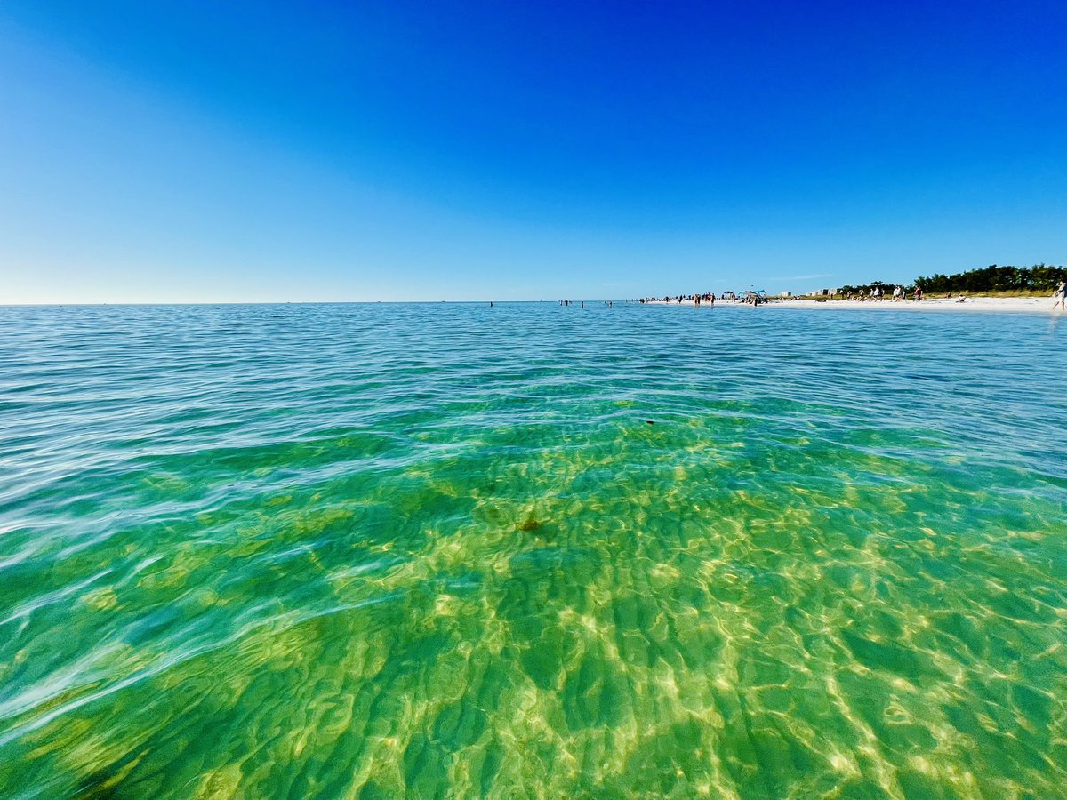 Jason_T_McC's tweet photo. Absolutely gorgeous Christmas Day on Lido Key Beach!! βοΈ π π@VisitSarasota @RealSaltLife #FloLiving https://t.co/qJTg8K7zxZ