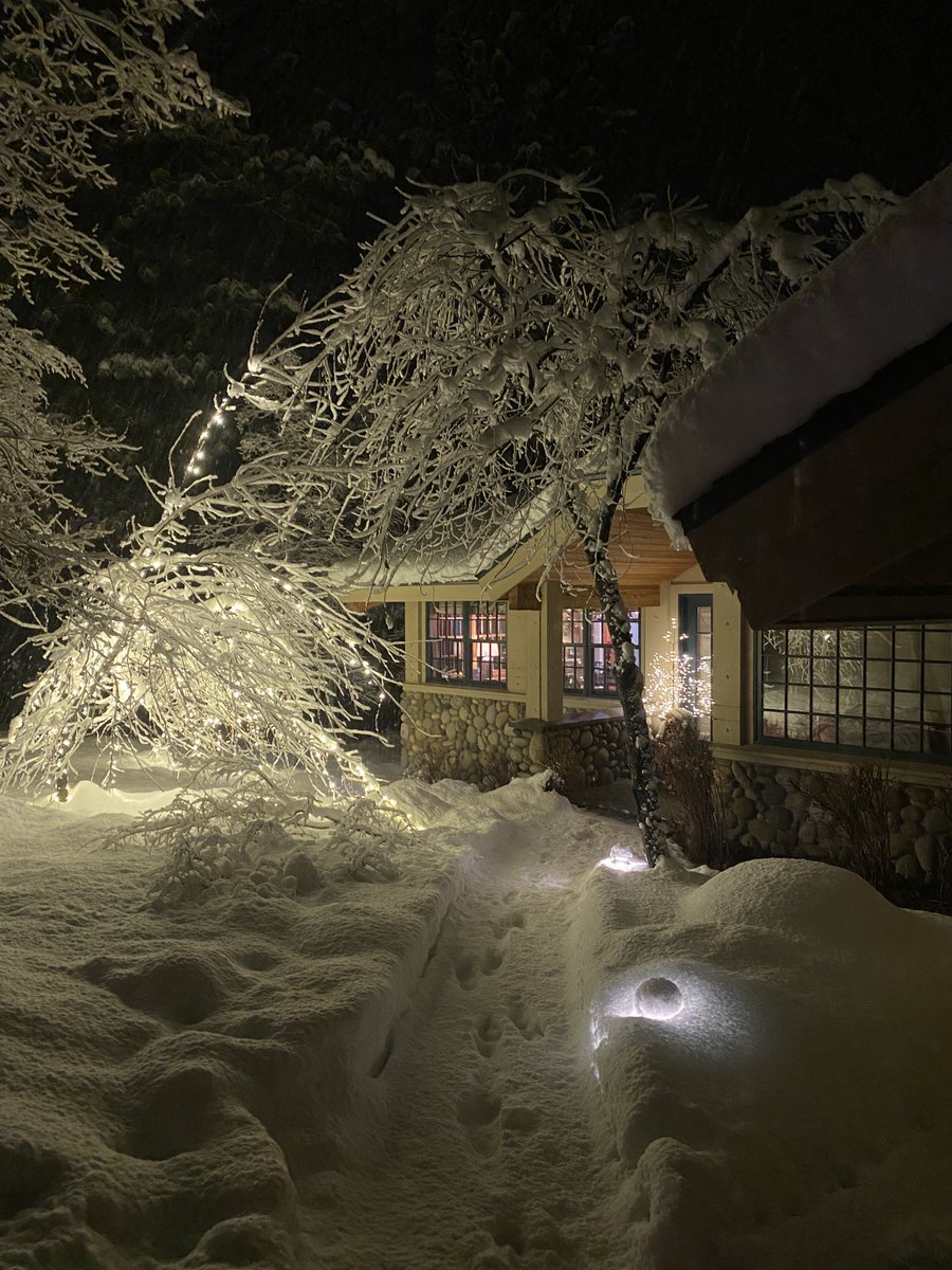 Amanda Grant tweet media