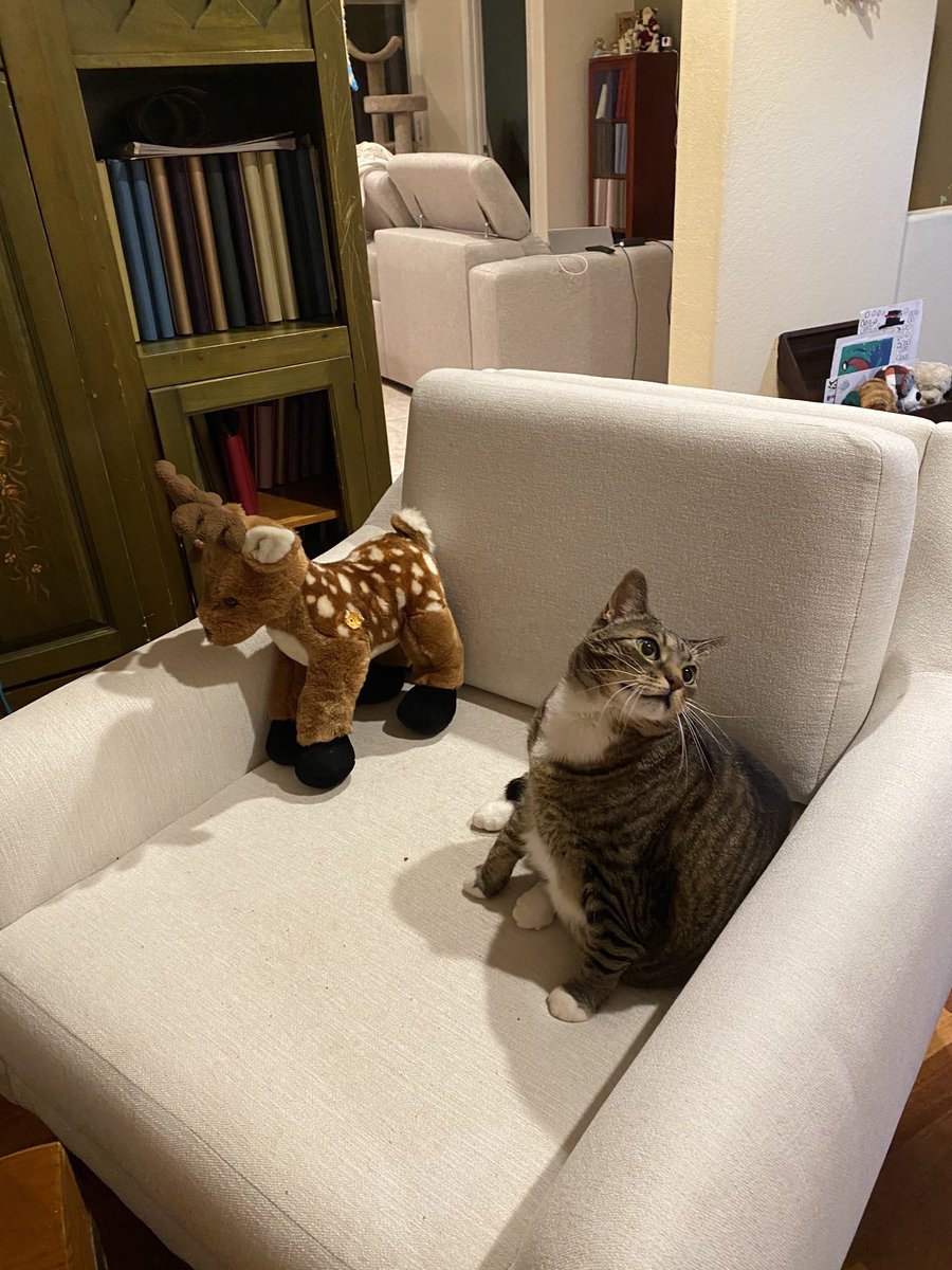 Rudolf and it’s little helper ❤️