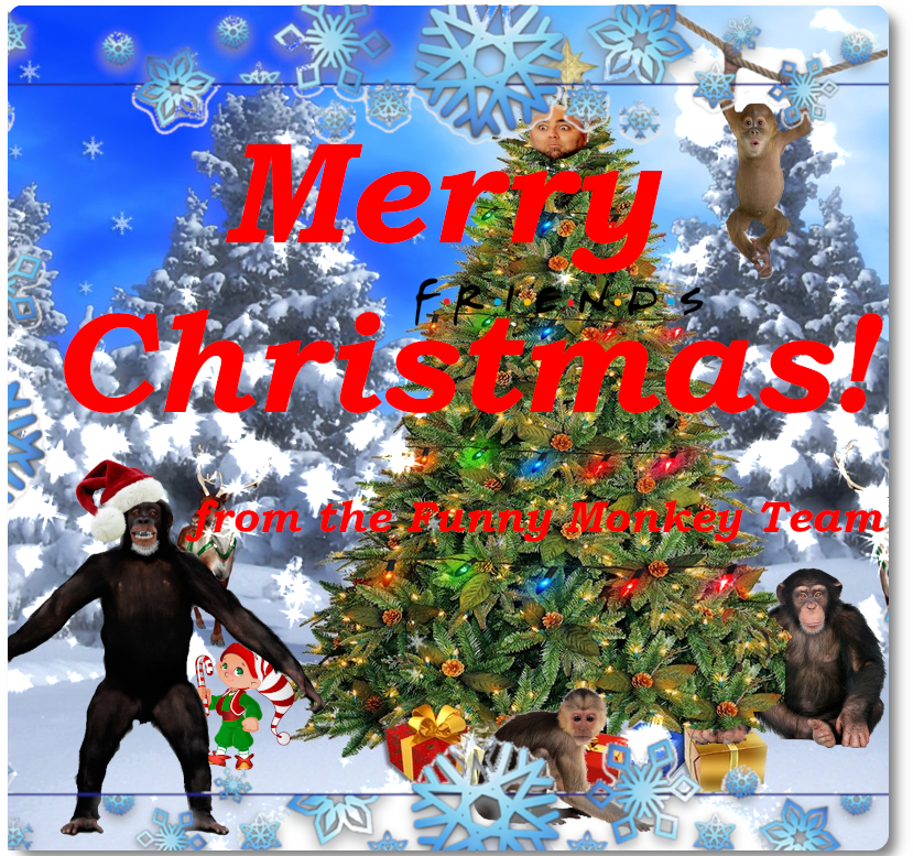 _monkeyfunny's tweet photo. happy monkey christmas! https://t.co/NmMMWSGxsj
