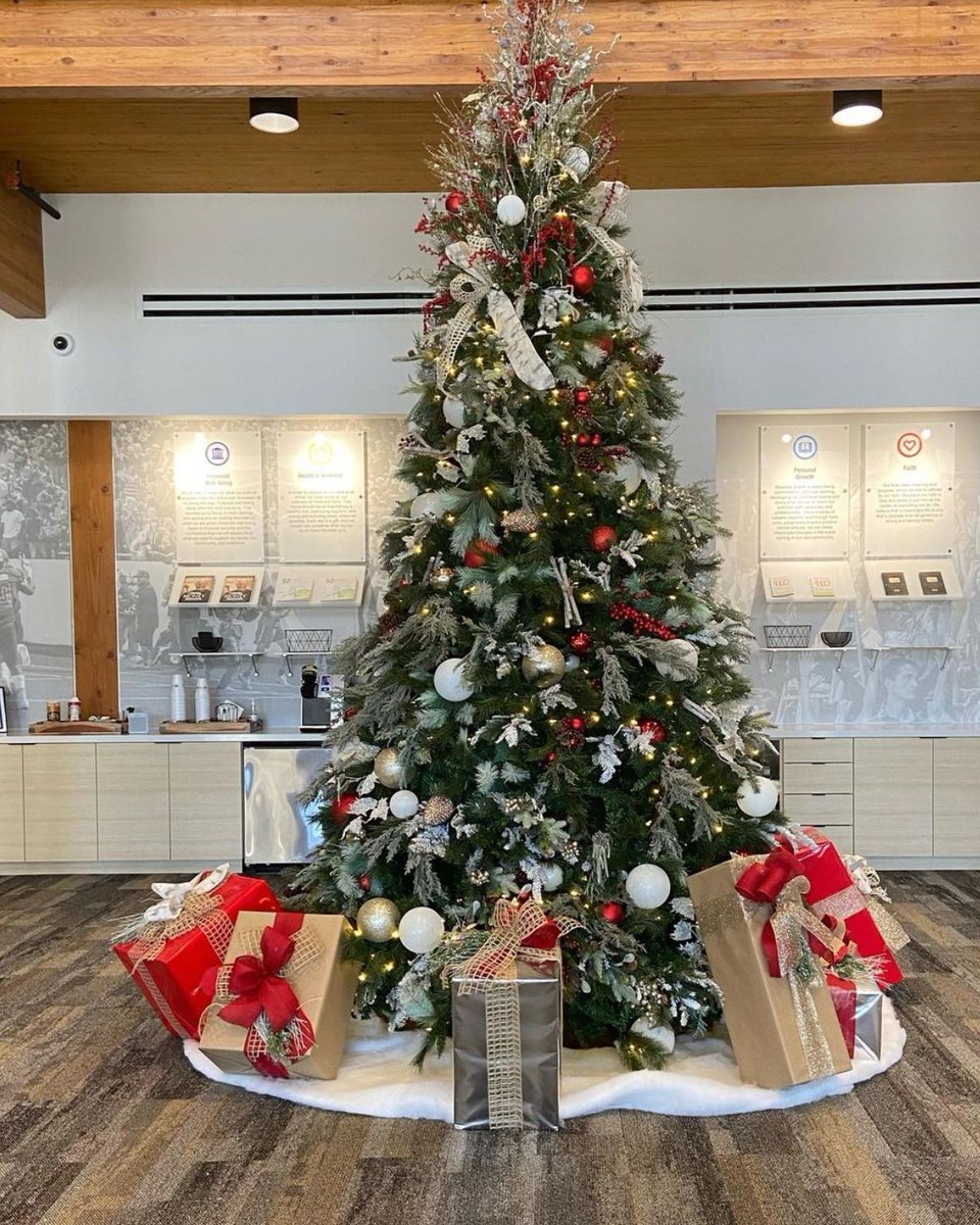 Merry Christmas! 🎄 #happyholidays

📷: <a href="/naturahq/">Natura - Interior Plant Design</a>