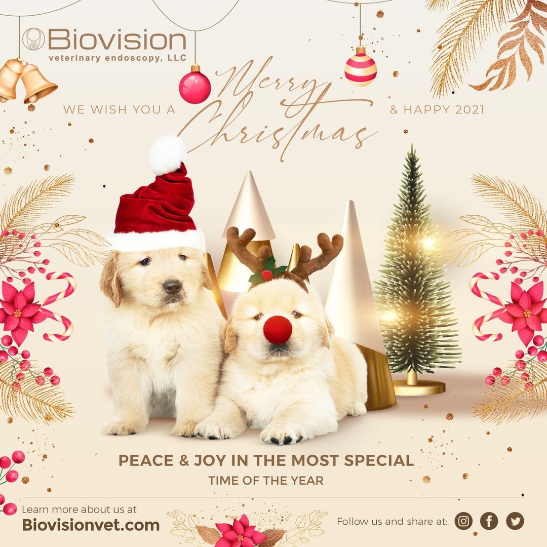 BioVisionvet tweet picture