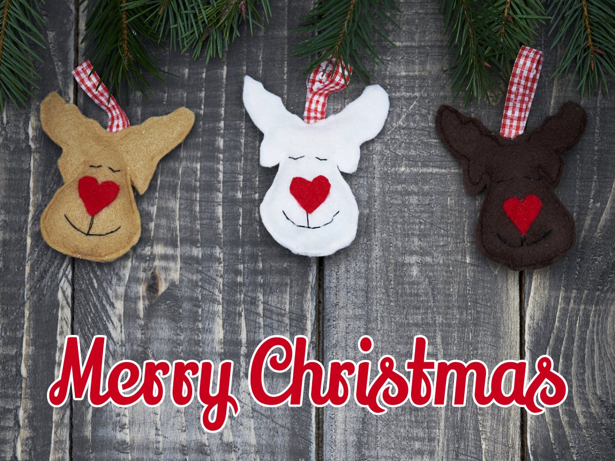 Let the joy of #Christmas into your heart. #HappyHolidays