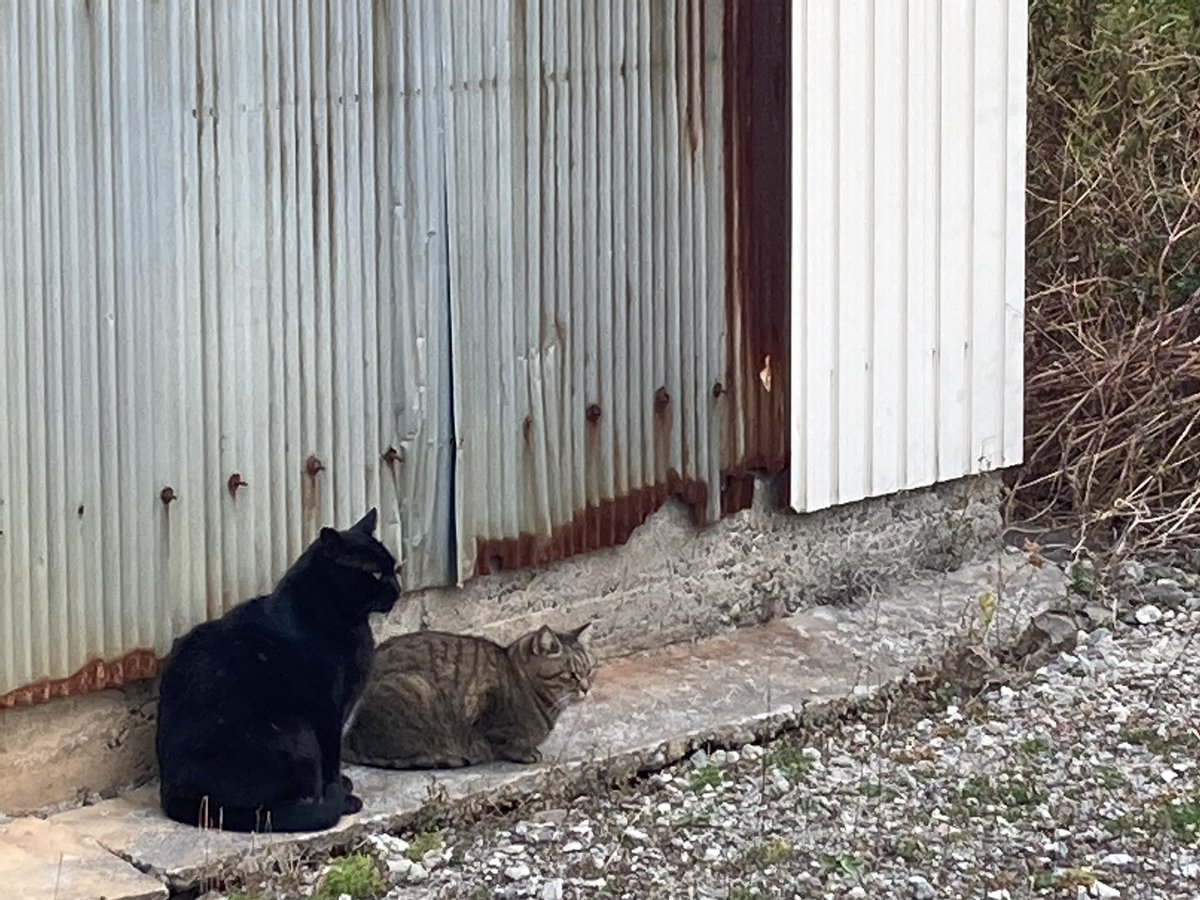なんか凄い地元感笑
平和ですな〜🕊