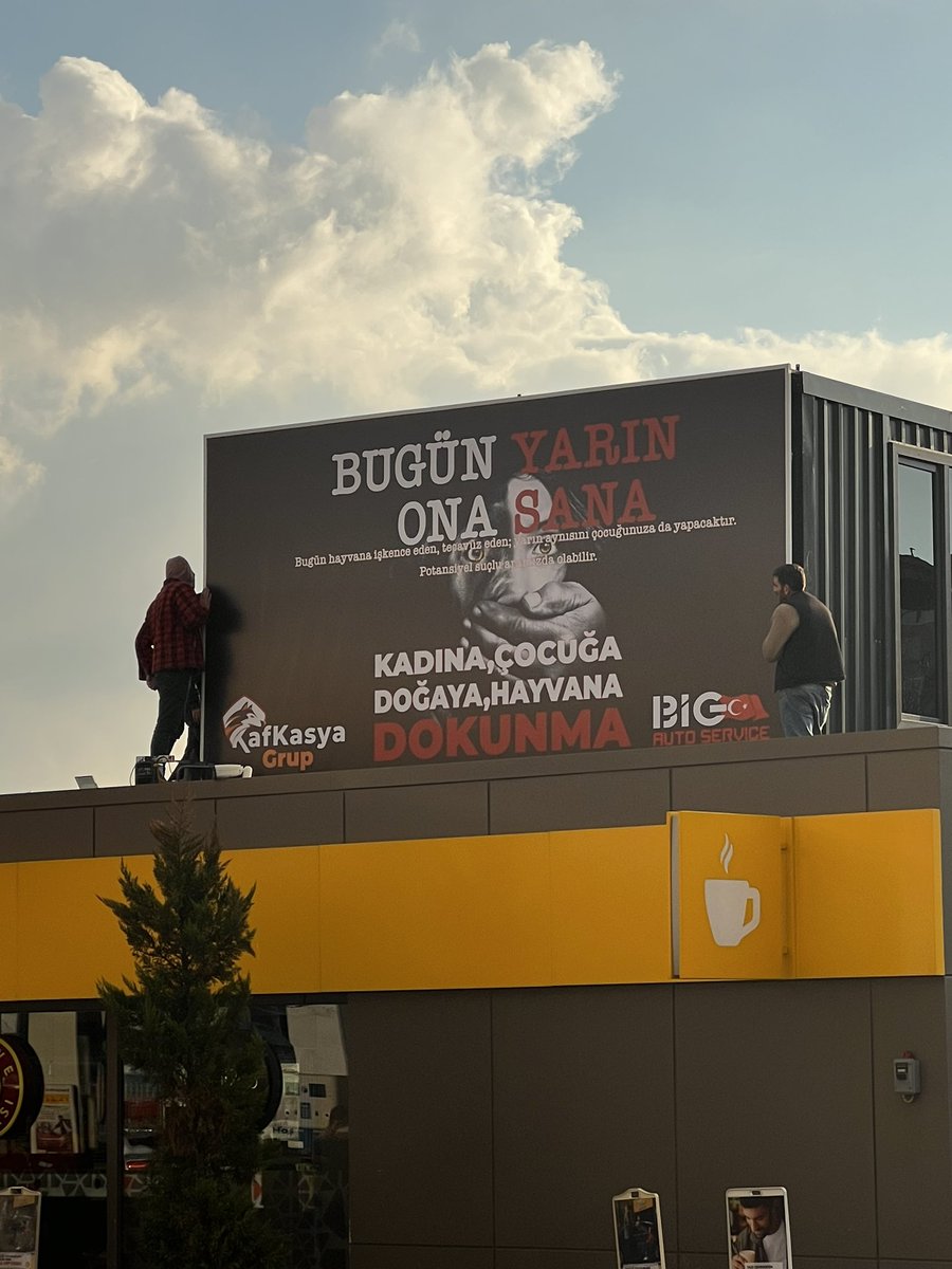 Enam Suresi 36. Ayette Allah, “Yeryüzünde yürüyen bütün hayvanlar ve kanatlarıyla uçan bütün kuşlar da ancak sizin gibi birer ümmettir" #SokakHayvanlarıSahipsizDeğil