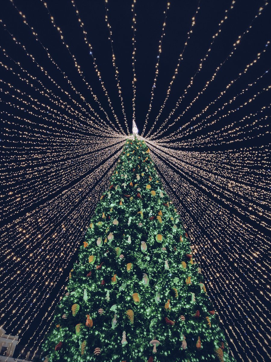codecoloragency's tweet image. We hope your dreams come true this Christmas as you’ve made our dreams come true this year by supporting us. Have a very Merry Christmas. #codecolor #merrychristmas #happyholidays