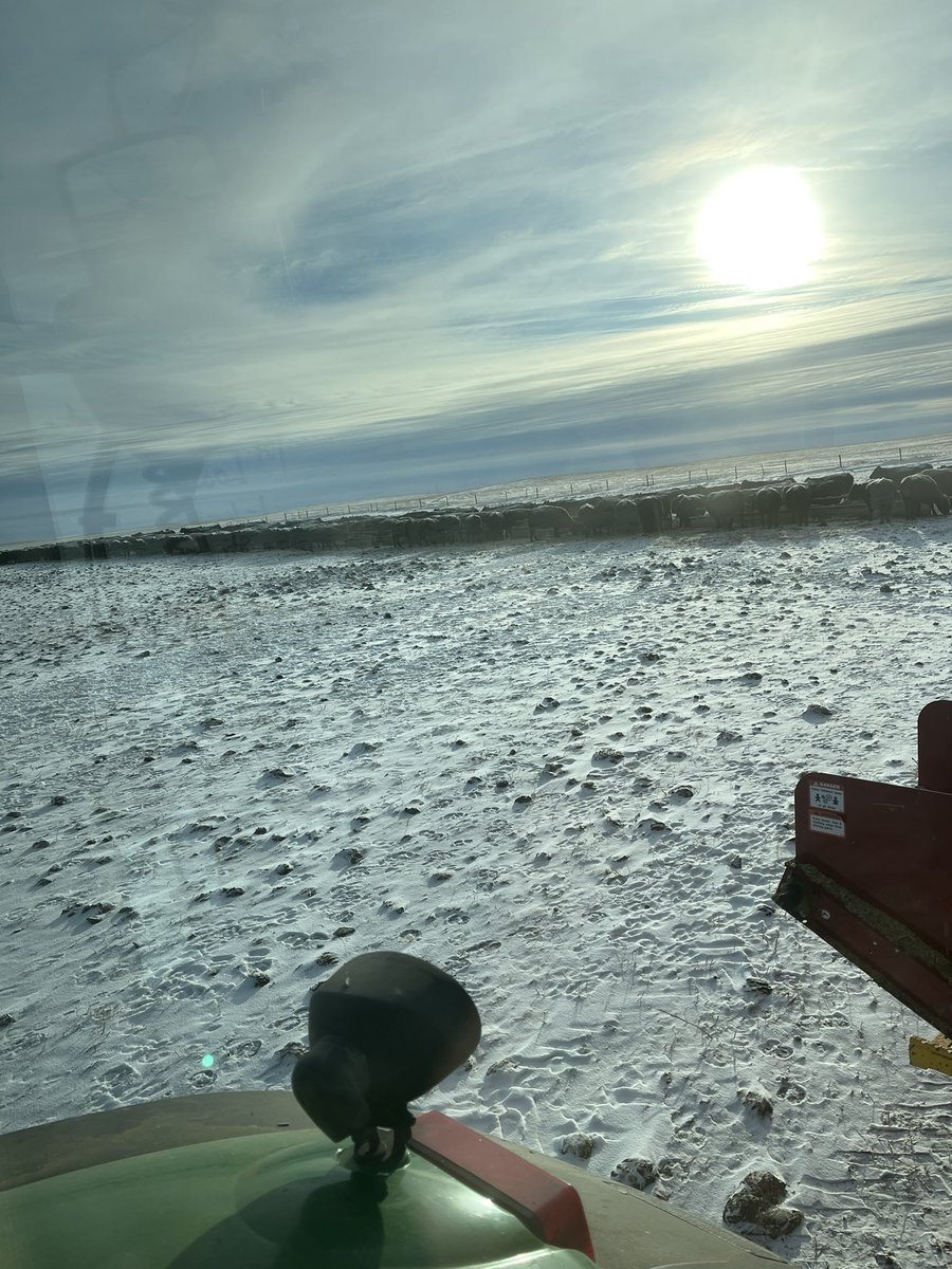 Christmas dinner is served. Merry Christmas everyone.