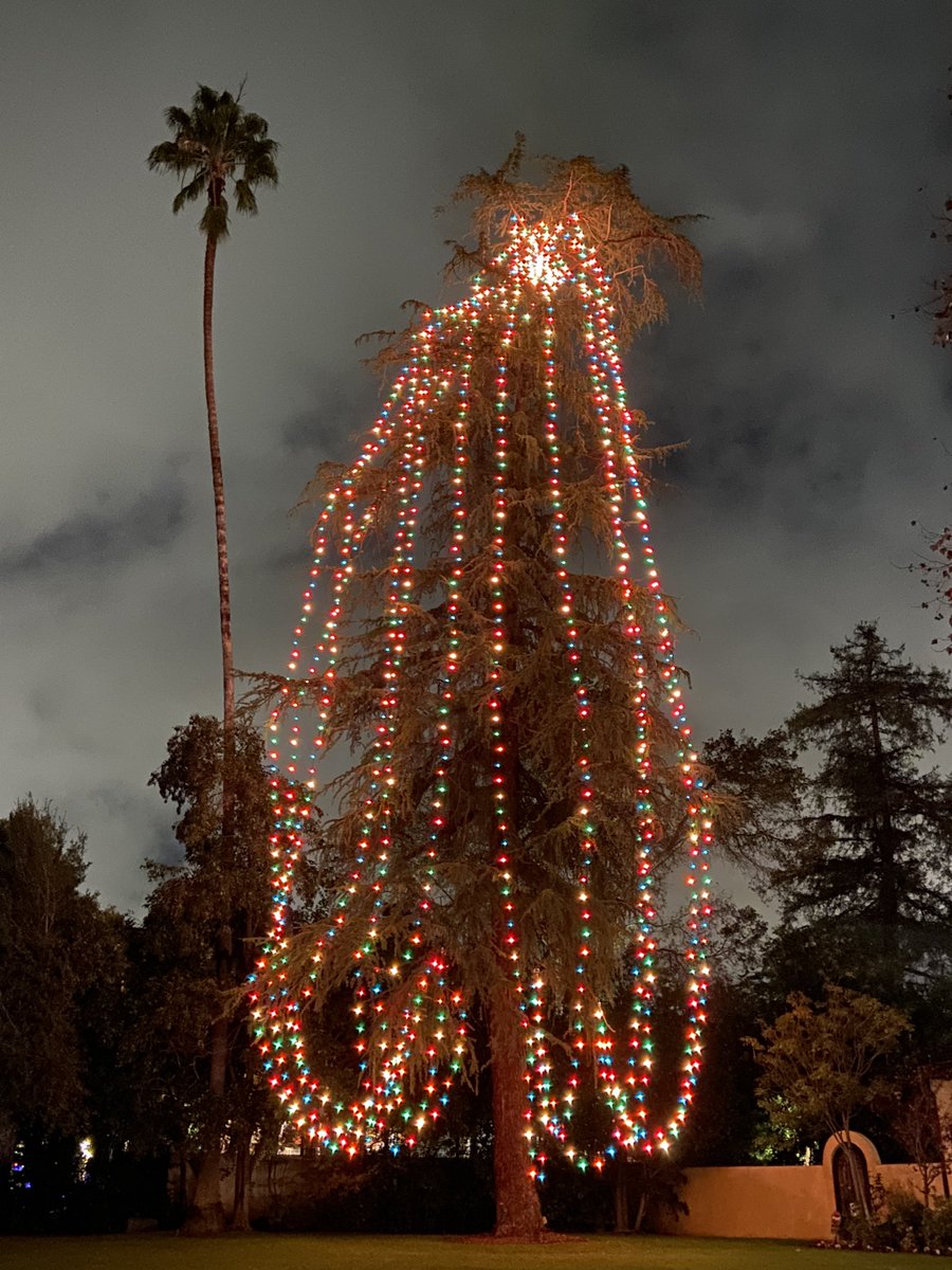 Lpacchini's tweet image. 