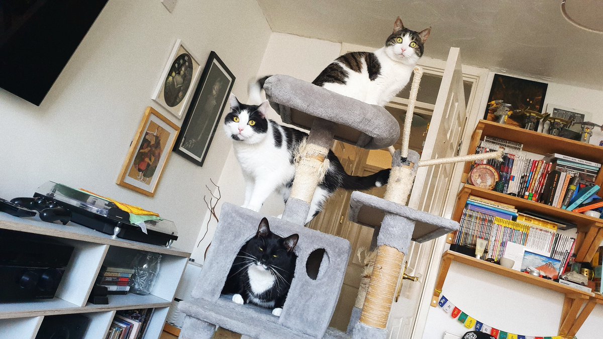 Paris Zarcilla tweet media