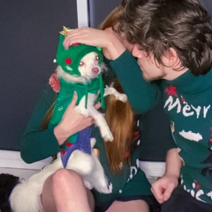 lorenaaorsi's tweet photo. natal https://t.co/i5Q2ABm34H