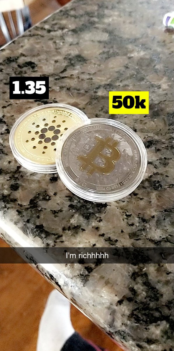 hairyannn's tweet photo. My brother gifted me #1btc and #1ada so stoked to start my #crypto journey! https://t.co/AmsfudEG4j