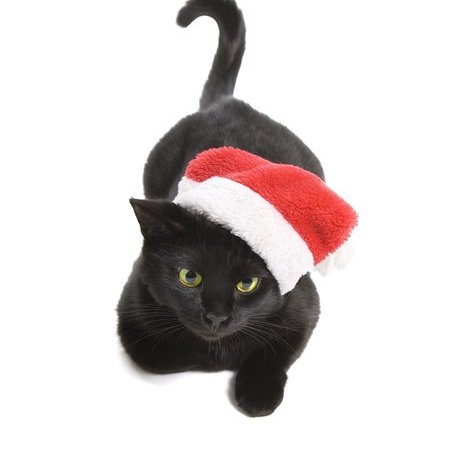 ThatNiceShopCyp's tweet photo. Fat Jessica, Kevin, William, Dimitra, Tanith and Kate would like to wish all our wonderful That Nice Shop contributors, friends and customers a VERY HAPPY CHRISTMAS! https://t.co/R6YdxXb8ZW