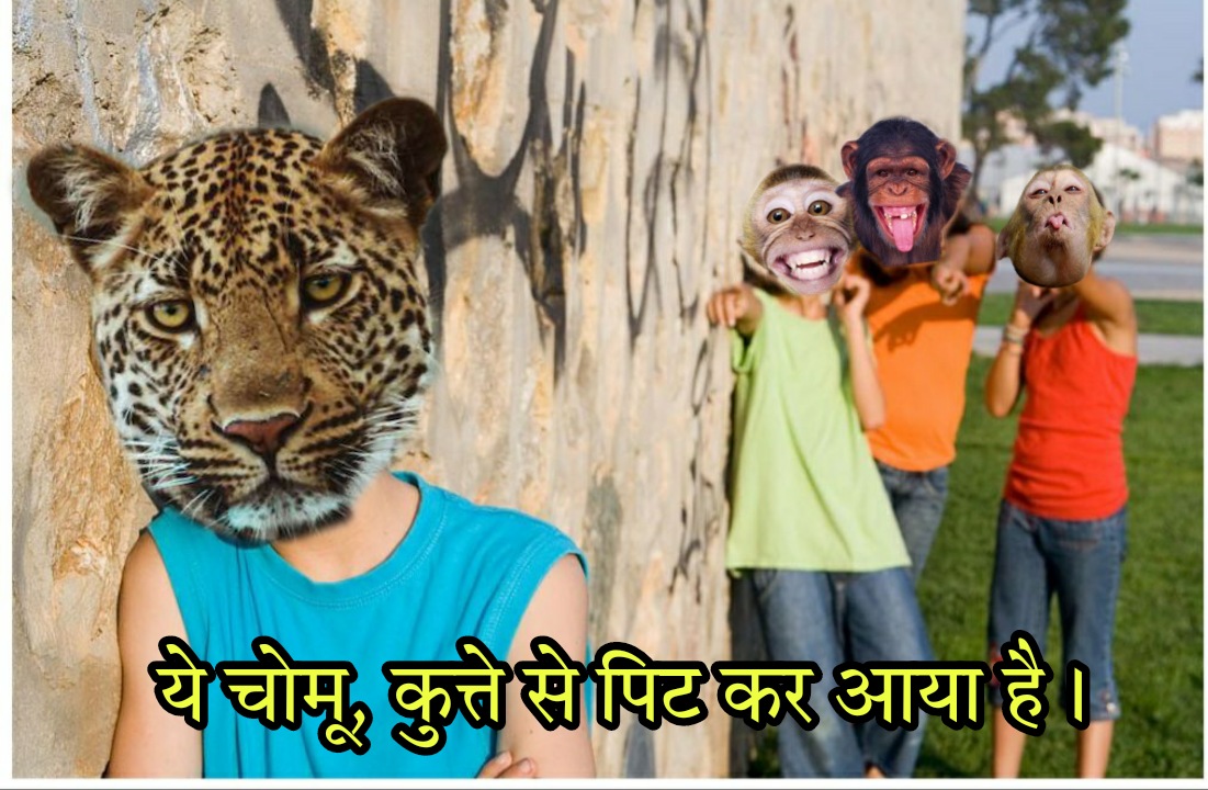 pritesh4532's tweet photo. 😁😆😆
मंकी का सारा गुस्सा डोगी ने तेंदुए पर निकाल दिया शायद।
#MonkeyVsDogs 
#teammonkey https://t.co/LoiiXDu3Xe