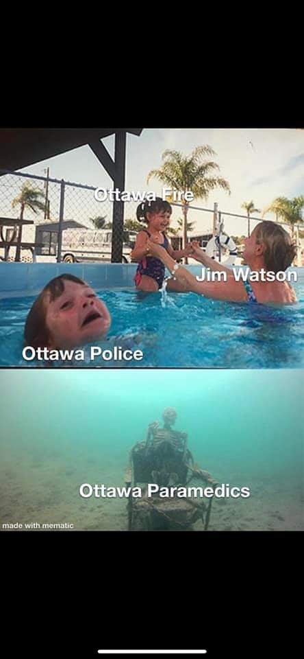LevelZeroEasternOntario tweet media