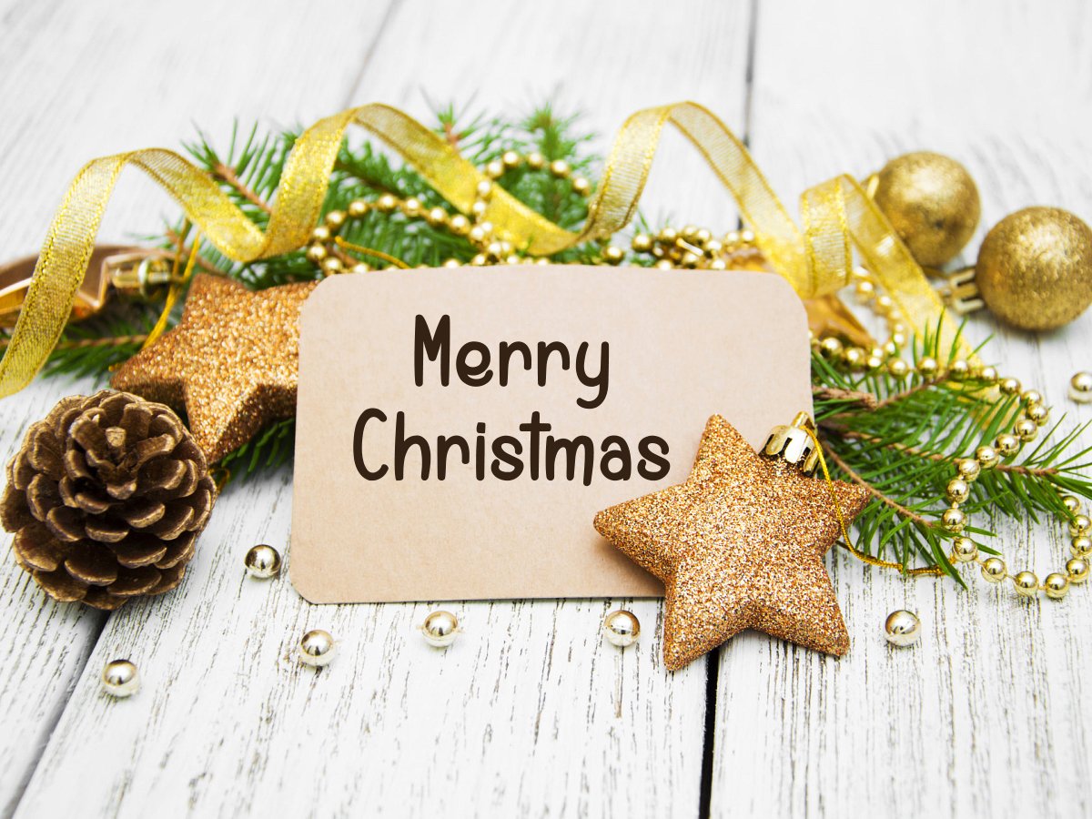 njtrube's tweet photo. Wishing you an abundantly blessed holiday season. #MerryChristmas #JoyToTheWorld https://t.co/r3fQPPonGr
