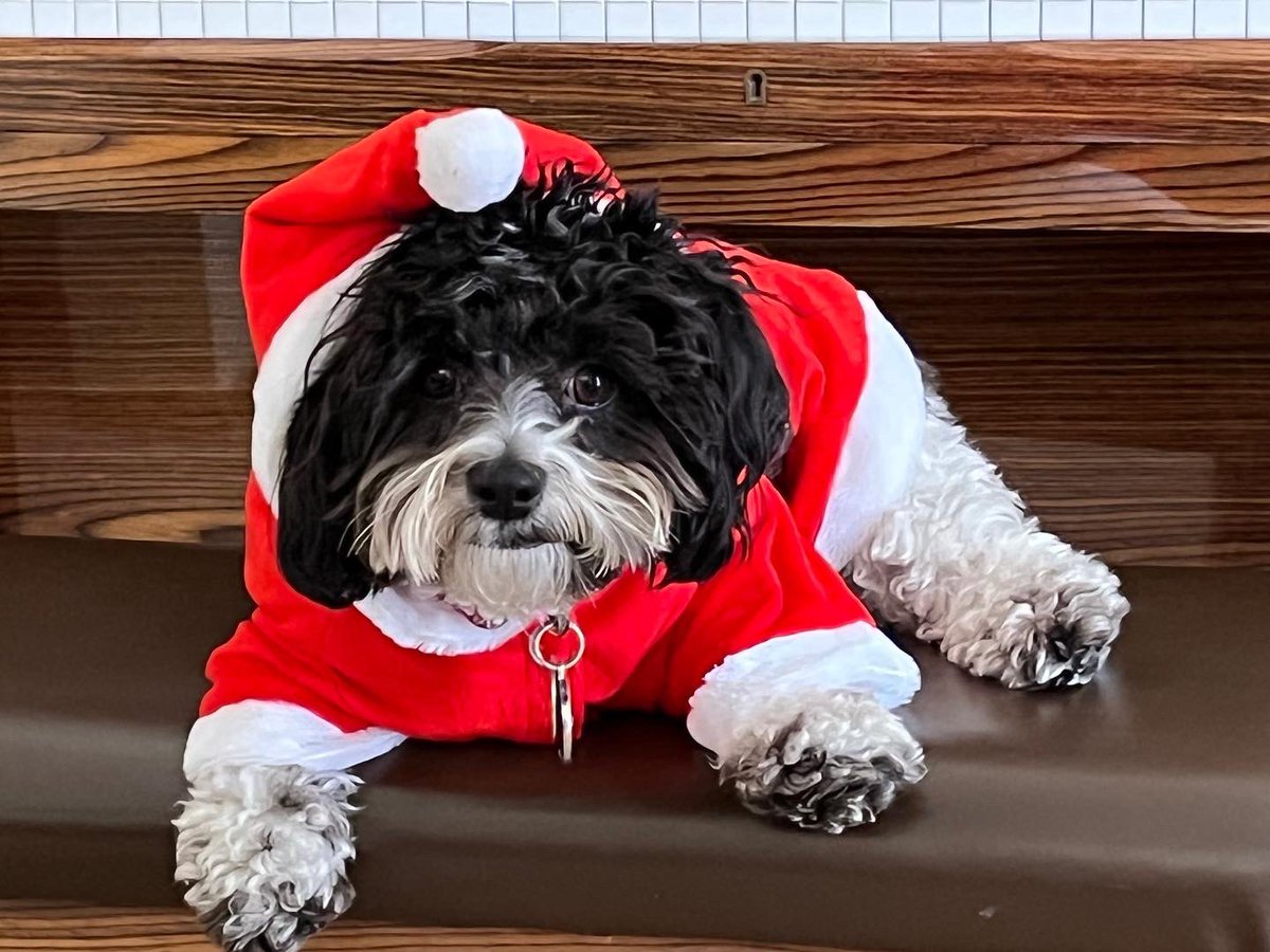 Merry Holidays friends!! ❤️
