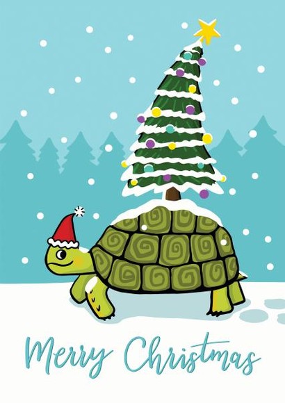 Merry Christmas from us all! 

Need a new read? Why not buy our book? 🎄☃️🐢

Just go to Amazon:  amazon.co.uk/Tortoise-myste…

#christmas #JoinIn #BookTwitter #BritishDetective #WomenSleuths #TheTortoise 

Photo credit: @thortful
