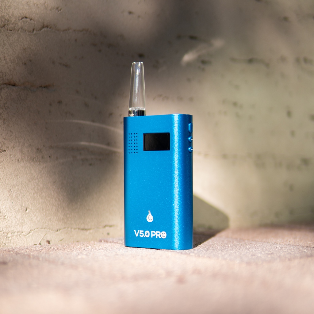 Merry Christmas 🎄