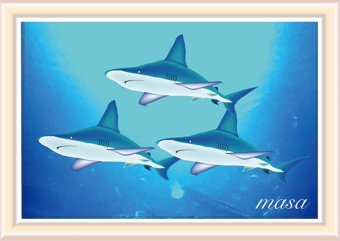 今日のサメのtwitterイラスト検索結果