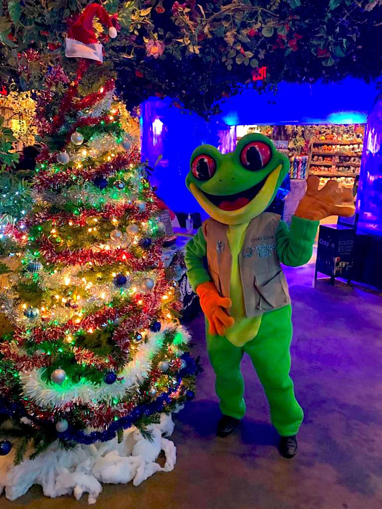 RainForest_Cafe's tweet photo. Cha! Cha! wishes you a Merry Little Christmas! ๐ โ๏ธ
We hope your holiday is full of joy, laughter and delicious food!
#funtimes #gooditmes #rainforestcafe #goodeats #familyfun https://t.co/oIbFnrKDDk