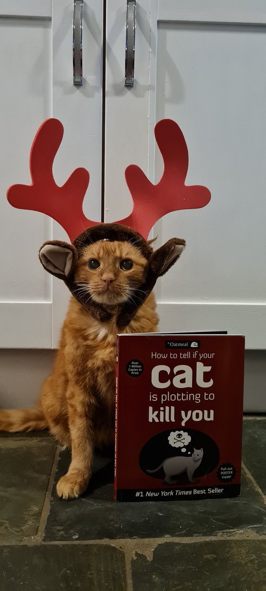 Happy Christmas from Talis the cat 🙊🤣👑🐱

#Christmas2021 #CatsOnTwitter #catmaseve #Catmas <a href="/SusanCalman/">Susan Calman</a>