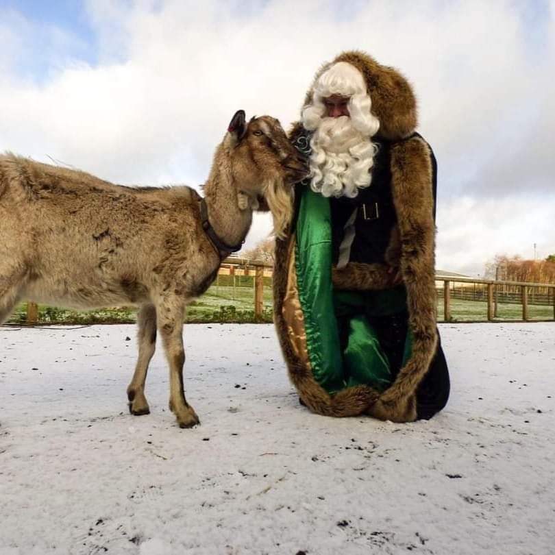 The entire team at Askham Bryan Wildlife &amp; Conservation Park would like to wish our followers a wonderful a very Merry Christmas! We hope your day was full of festivity and cheer! 🐐🎅
