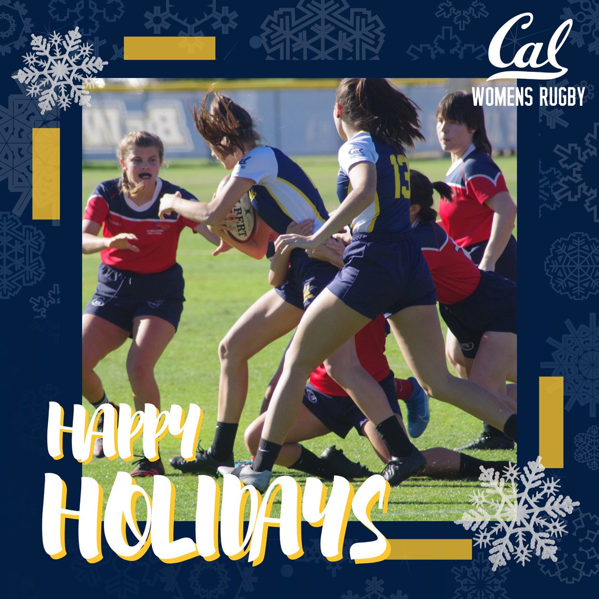 Happy Holidays from our CWR fam to yours! 🐻🎄🌟 #gobears