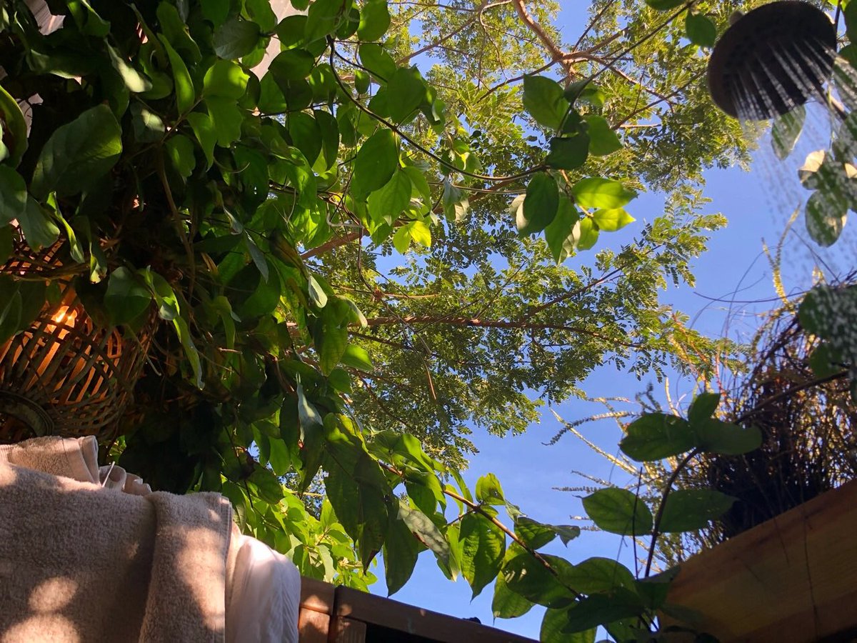 钟慧芳 (@zhonghuifang2) on Twitter photo 