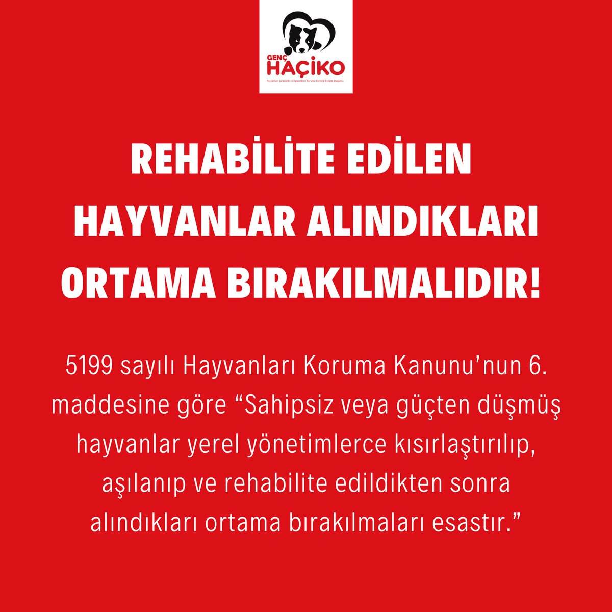 5199 numaralı Hayvanları Koruma Kanunu’nun 6. maddesinde açıkça sahipsiz ve güçten düşmüş hayvanlar kısırlaştırılıp, aşılanıp ve rehabilite edildikten sonra alındıkları yere bırakılır ibaresi yer almaktadır. 

#sahipsizlerinsahibiyiz #SokakHayvanlarıSahipsizDeğil