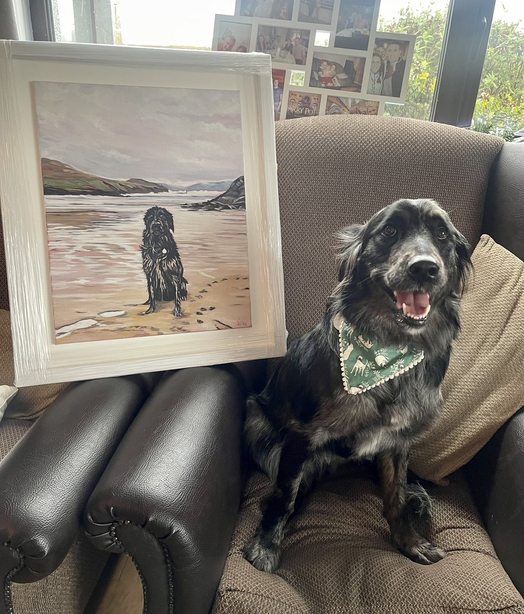 edelnic's tweet photo. Mo Mhama: Tá an madra sin millte, spoilt rotten. 

Mo mhama, chomh maith: 

👀🤣

#Liath #dogsoftwitter https://t.co/HWm8F91DpB