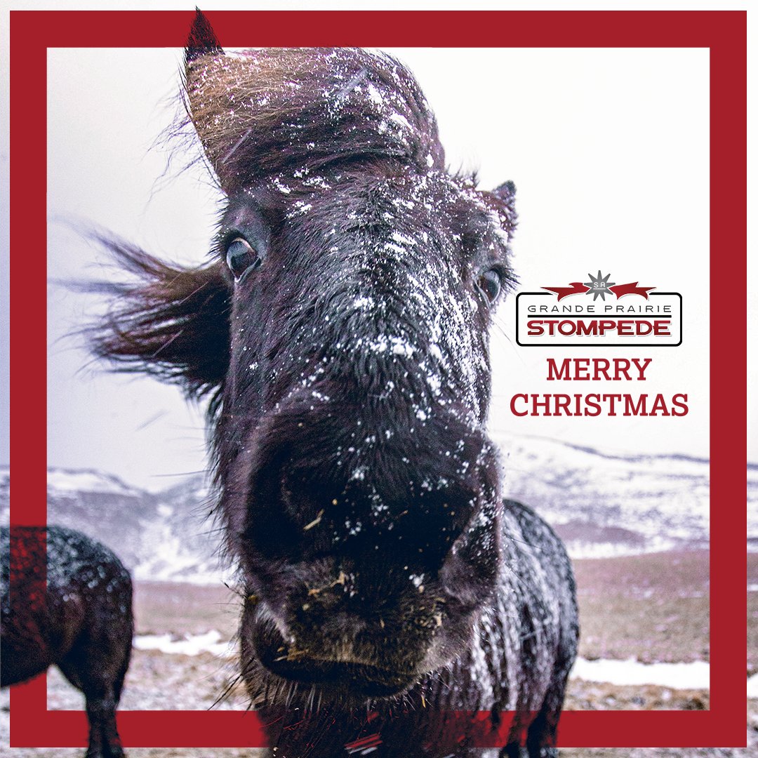 GPstompede's tweet image. May your bellies be full and filled with holiday cheer!

#GPStompede #GrandePrairie #MerryChristmas #PeaceRegion #PeaceCountry #MyGP #GPAB #YQU #GrandePrairieStompede
