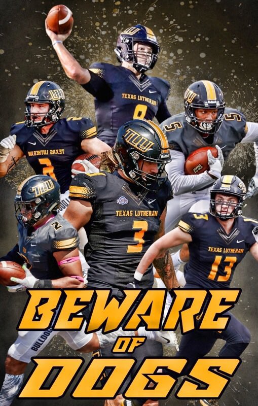 Dominic Alexander tweet media