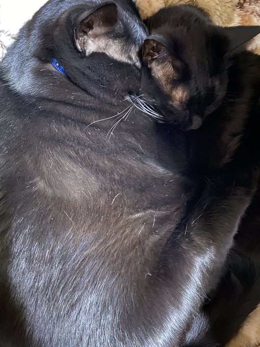 顔面めり込んでね? 