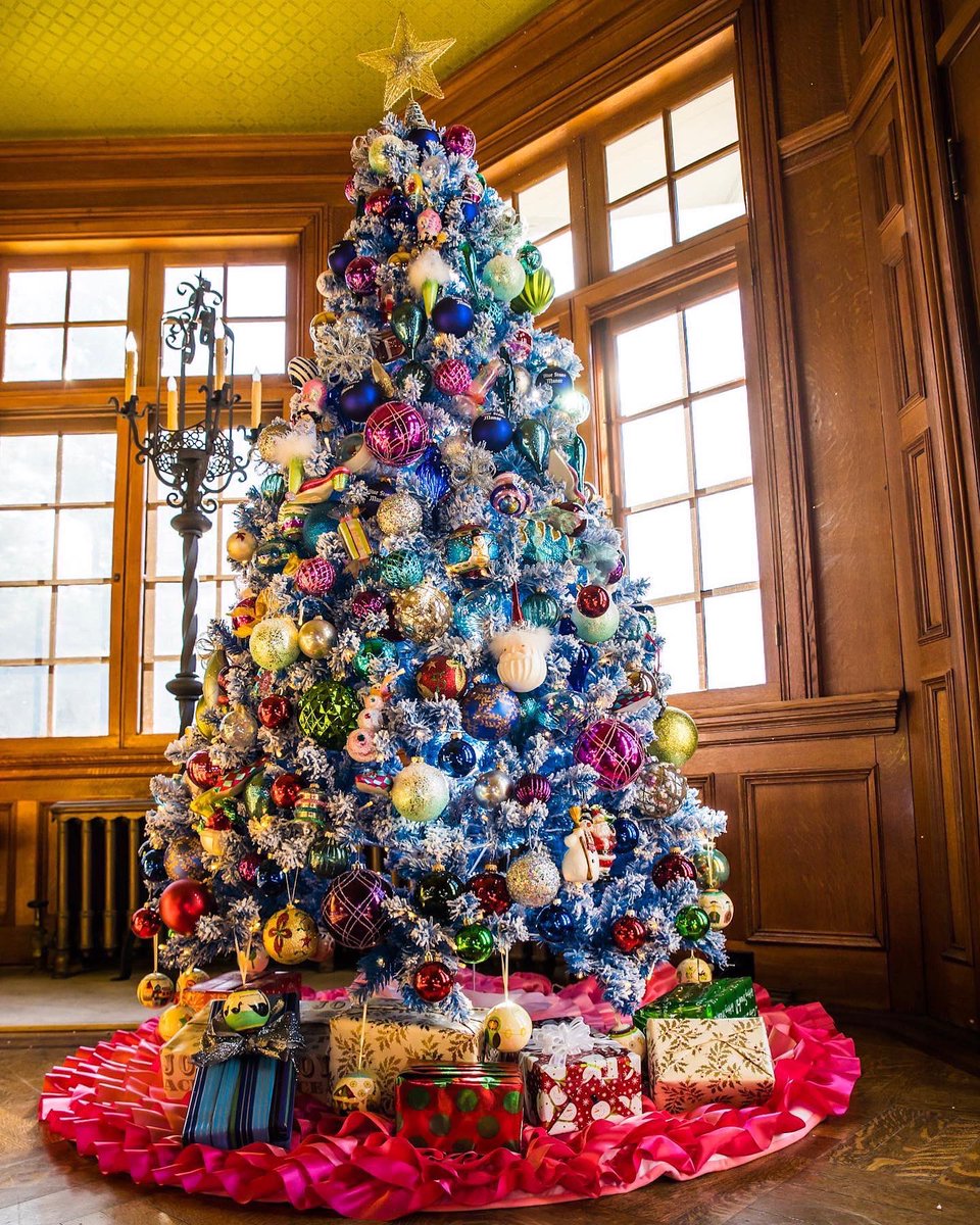 DorindaMedley's tweet photo. Merry Christmas and Happy Holidays

Which one is your favorite @thebluestonemanor tree? 

#christmas2021 #christmastree https://t.co/DqPdomiI3P