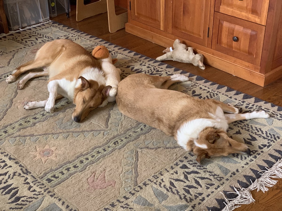 Too much Christmas 🎅 🎄🎁