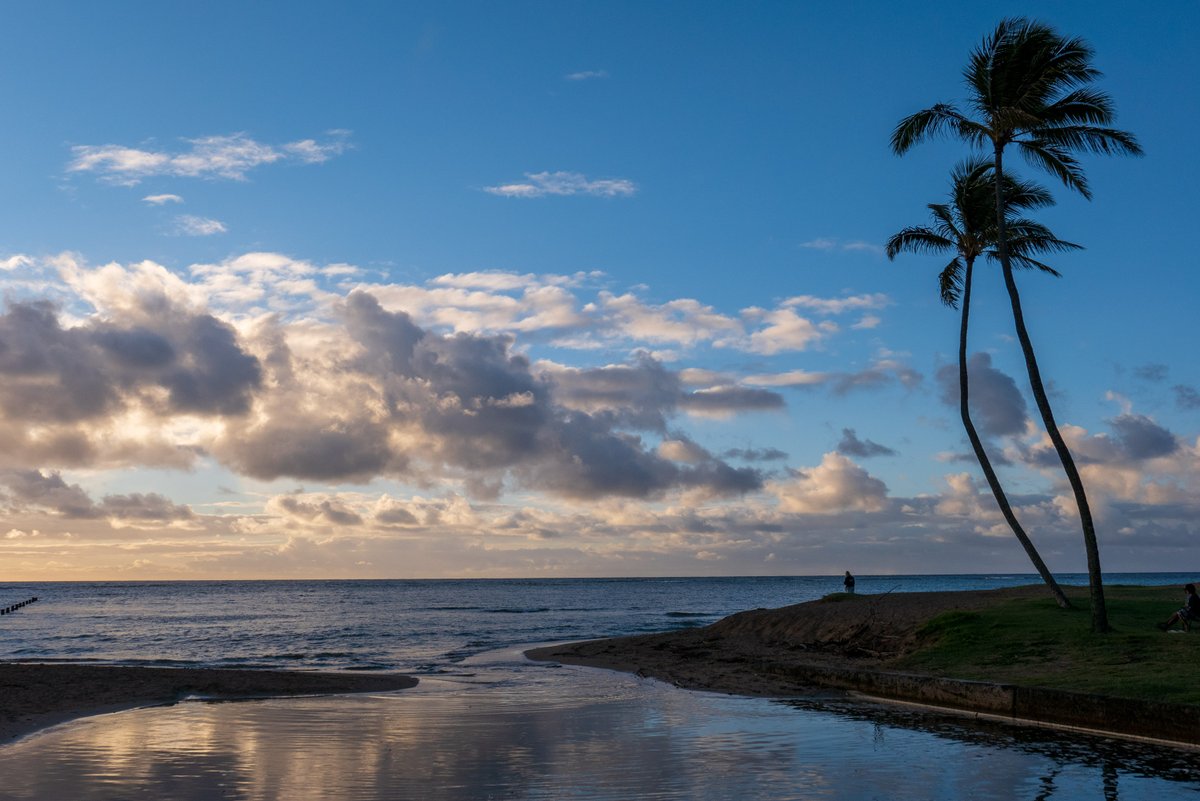 ilind's tweet image. A cool Christmas morning down the street at Waialae Beach Park in Honolulu. It was a chilly 70 degrees when we left home. Everyone was commenting on the cold.