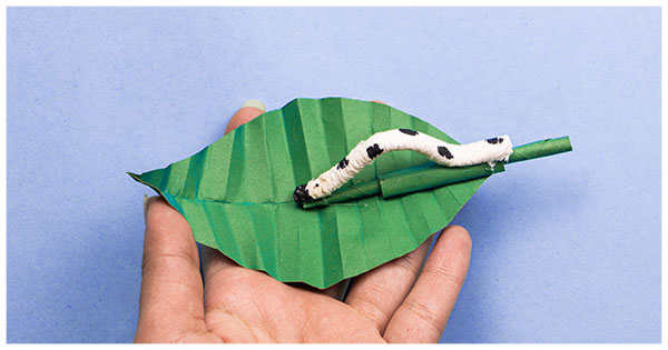 92Crafts's tweet photo. New worm and leaf #papercrafts; learn new origami skill. In this video, I have explained how to make a paper worm on the leaf. Learn this mind blowing easy #origami craft with a simple set of instructions.
Watch full video here: https://t.co/sgpzrqXISh https://t.co/ChOthe015z
