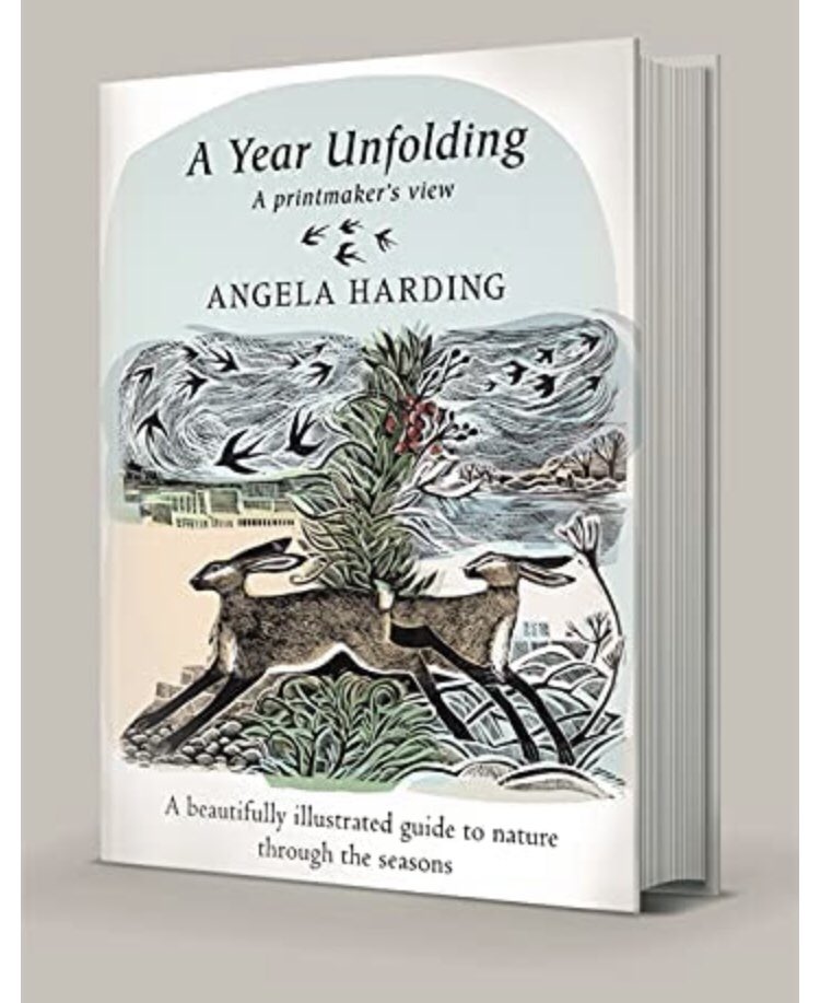 drage_lisa's tweet photo. @ANGELACHARDING And to you …. Beyond excited to receive this beauty today https://t.co/mCn7tCWtbW
