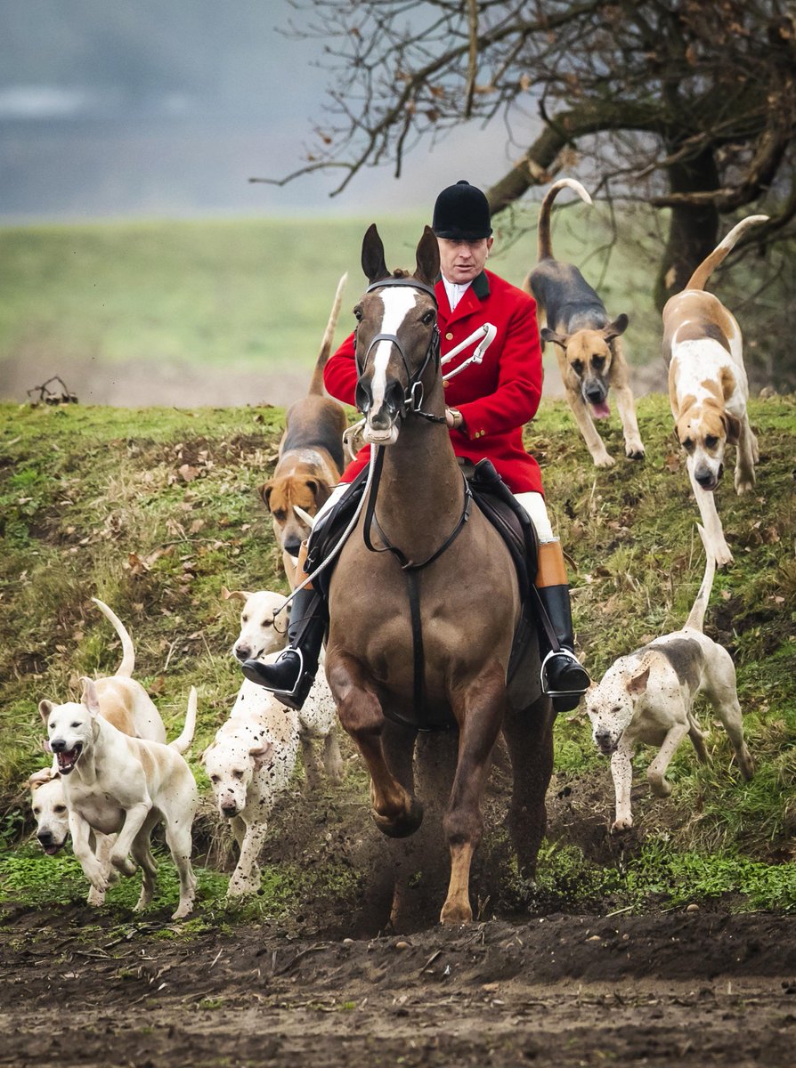 Lukesteele4's tweet photo. Good luck to everybody peacefully protesting and preventing fox hunts flouting the law this Boxing Day and Bank Holiday. 🦊🪧

Let's double down to ensure that in 2022 the killing of wildlife for 'sport' is finally consigned to the history books where it belongs. https://t.co/FMrqIcMpNk