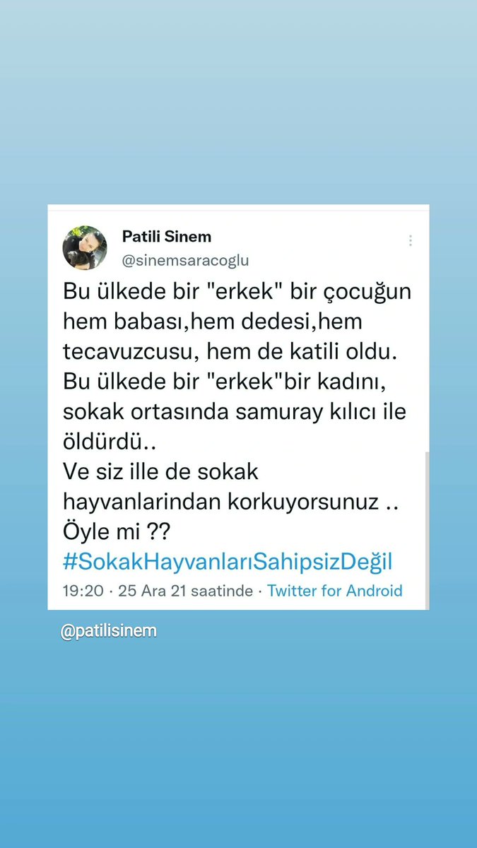 iiremcicek's tweet photo. #SokakHayvanlarıSahipsizDeğil #sahipsizlerinsahibiyiz https://t.co/vGedgghTaG