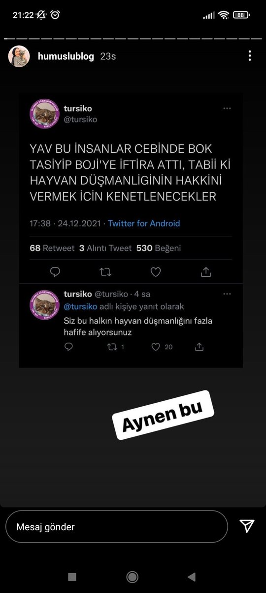 iiremcicek's tweet photo. #sahipsizlerinsahibiyiz #SokakHayvanlarıSahipsizDeğil https://t.co/uQdCDdwIVU