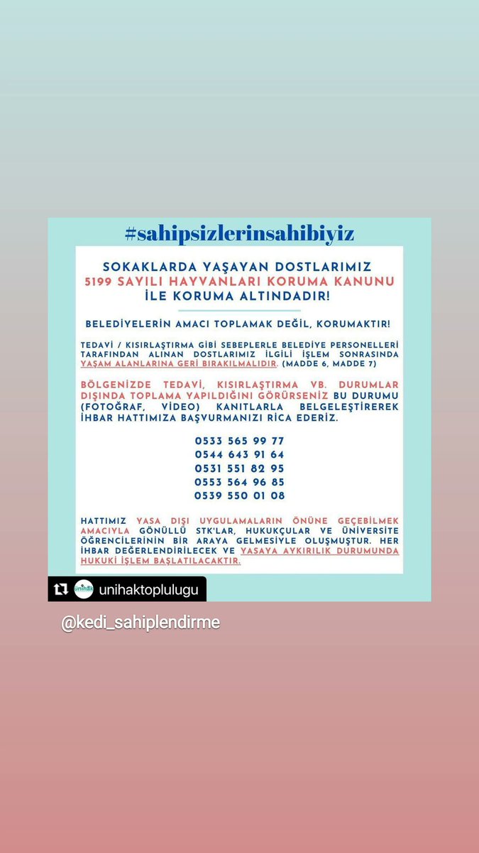 iiremcicek's tweet photo. #SokakHayvanlarıSahipsizDeğil #sahipsizlerinsahibiyiz https://t.co/uGGgrmeqAS