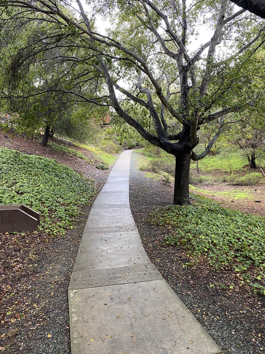 Enjoy your cookies, candy canes and egg nog…I’m gonna enjoy these 20 hill sprints. #WinterManual #FriarFast