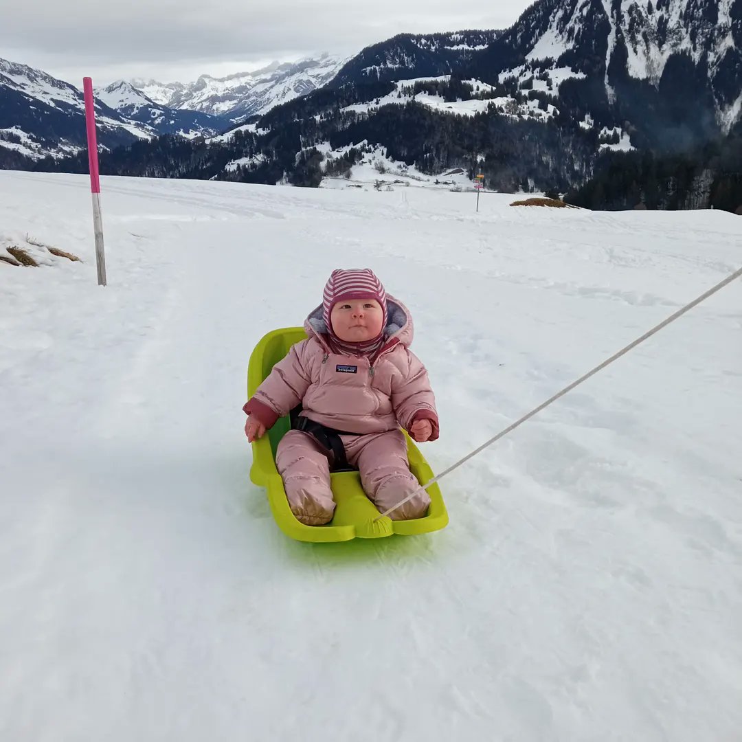 Elisabeth Dahlqwist tweet media