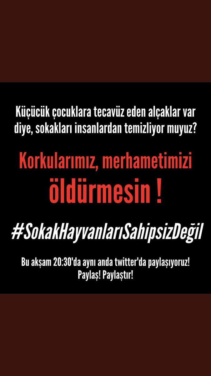 #SokakHayvanlarıSahipsizDeğil