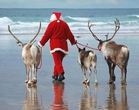 On Siesta Key beach this morning   After his worldwide blitz over the last two days you’d think Santa would have a stiff drink in his hand not a Caribou!