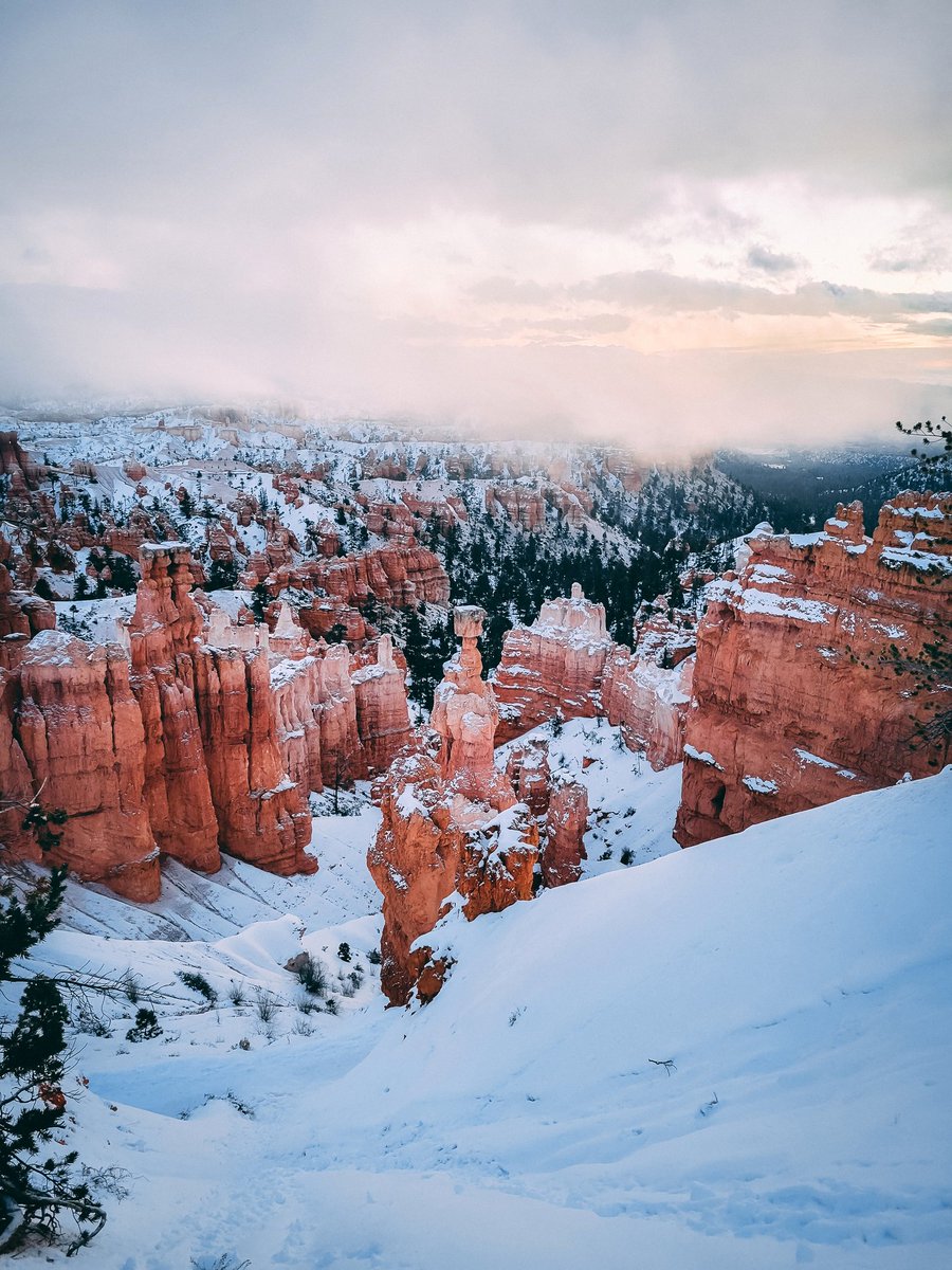 Austin ⚜ tweet media