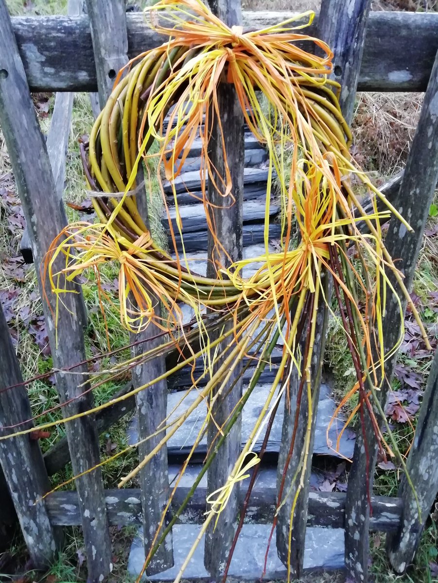 earthFgardener's tweet photo. Sending warm winter wishes to one and all, however you’re choosing to celebrate this dark and chilly night.

Willow and raffia, go!

#CompostableChristmas https://t.co/7CH7VClR4x