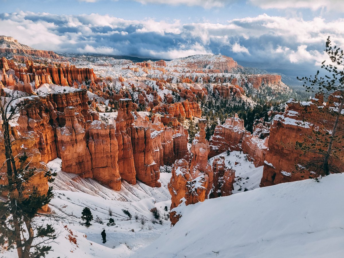 Austin ⚜ tweet media