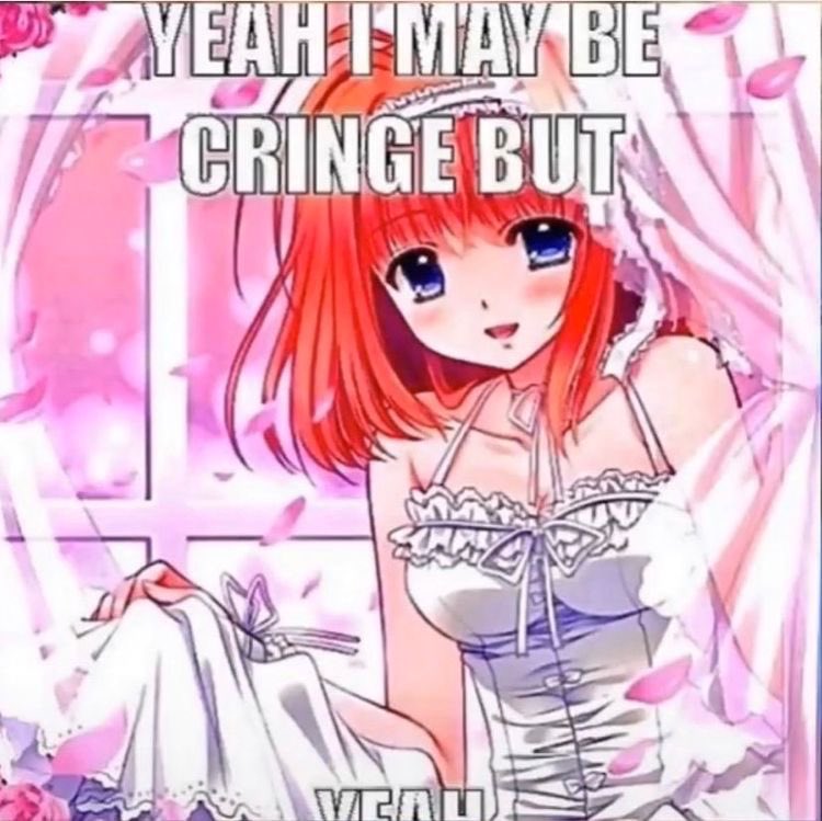 mf called me “cute cringe” HAHAHAHAHAHAHAHAHH i’m ending it all https://t.co/lX7L0PTZSF